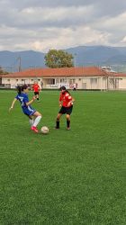 aopatistapaspurgosfasi1_result